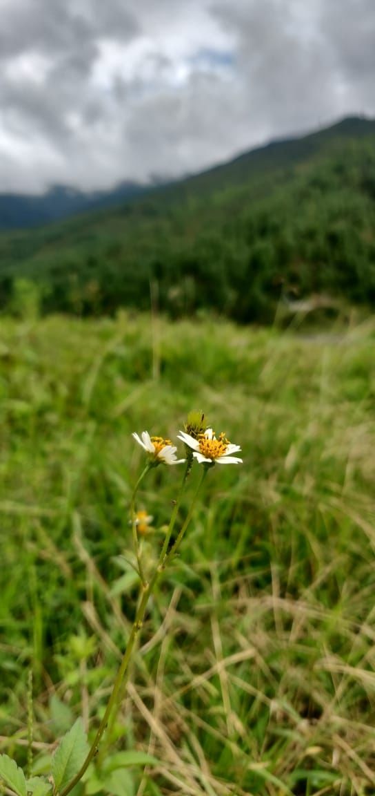 Photo of Sangti by Souvik Podder