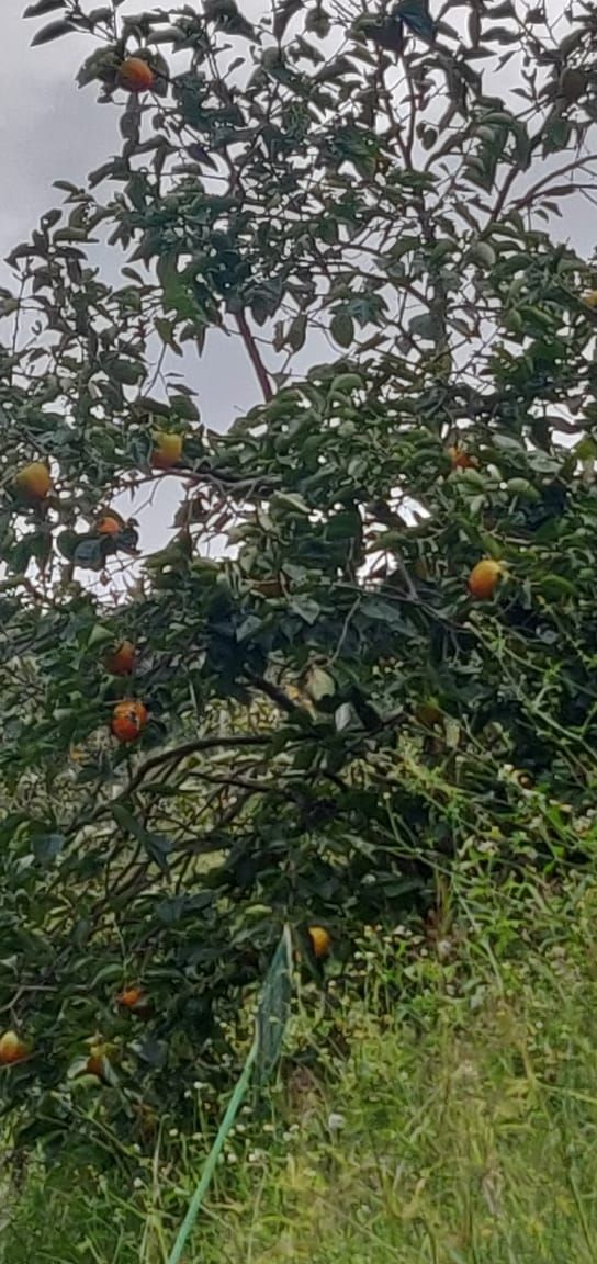 Photo of Sangti by Souvik Podder