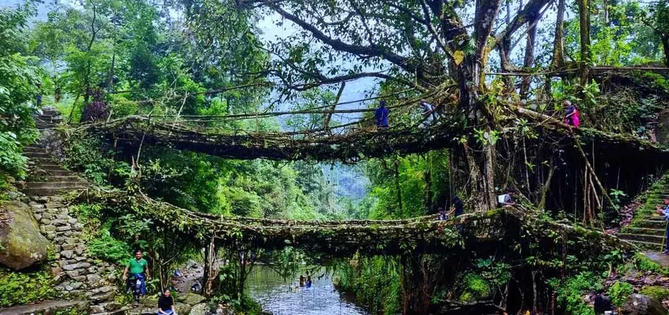 Photo of Double Decker Living Root Bridge, Cherrapunji‎, Meghalaya, India by Souvik Podder