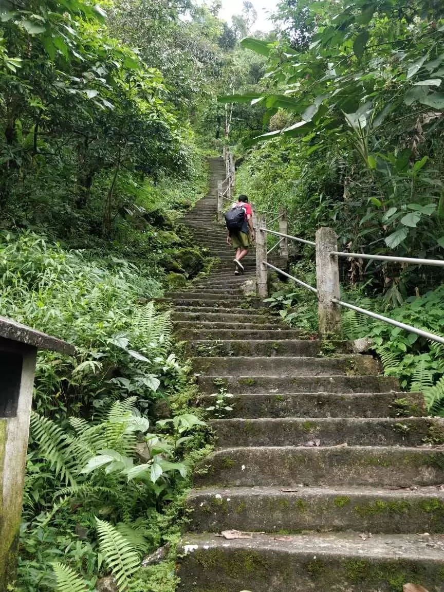 Photo of Double Decker Living Root Bridge, Cherrapunji‎, Meghalaya, India by Souvik Podder