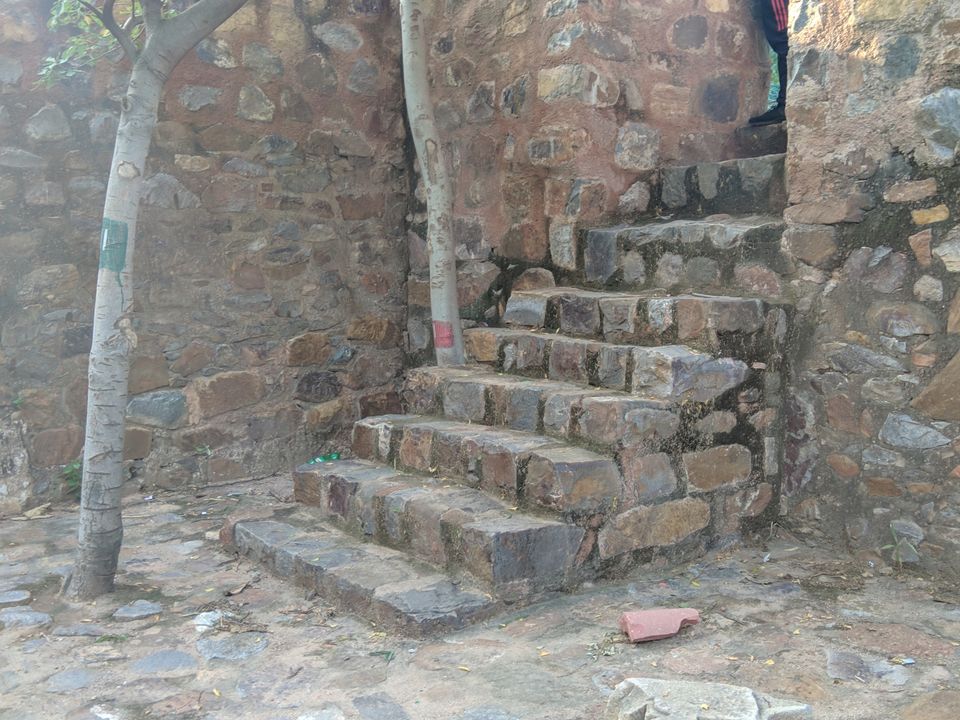 Photo of दिल्ली का वो शिकारगाह जिसे वक्त ने भूतिया महल में बदल दिया: भूली भटियारी का महल by Shubhanjal