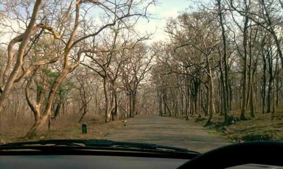 Photo of सत्यमंगलम, Tamil Nadu, India by Shubhanjal