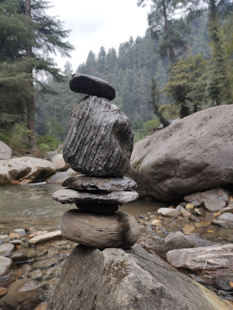 Photo of Jalori Pass by Shravan Yadav