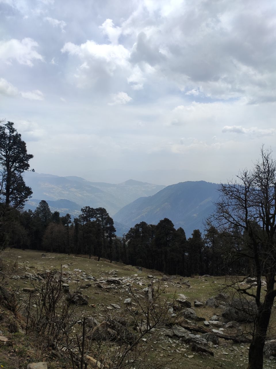 Photo of Jibhi - untouched paradise for Hiking by Shravan Yadav