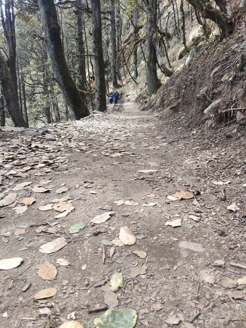Photo of Jibhi - untouched paradise for Hiking by Shravan Yadav