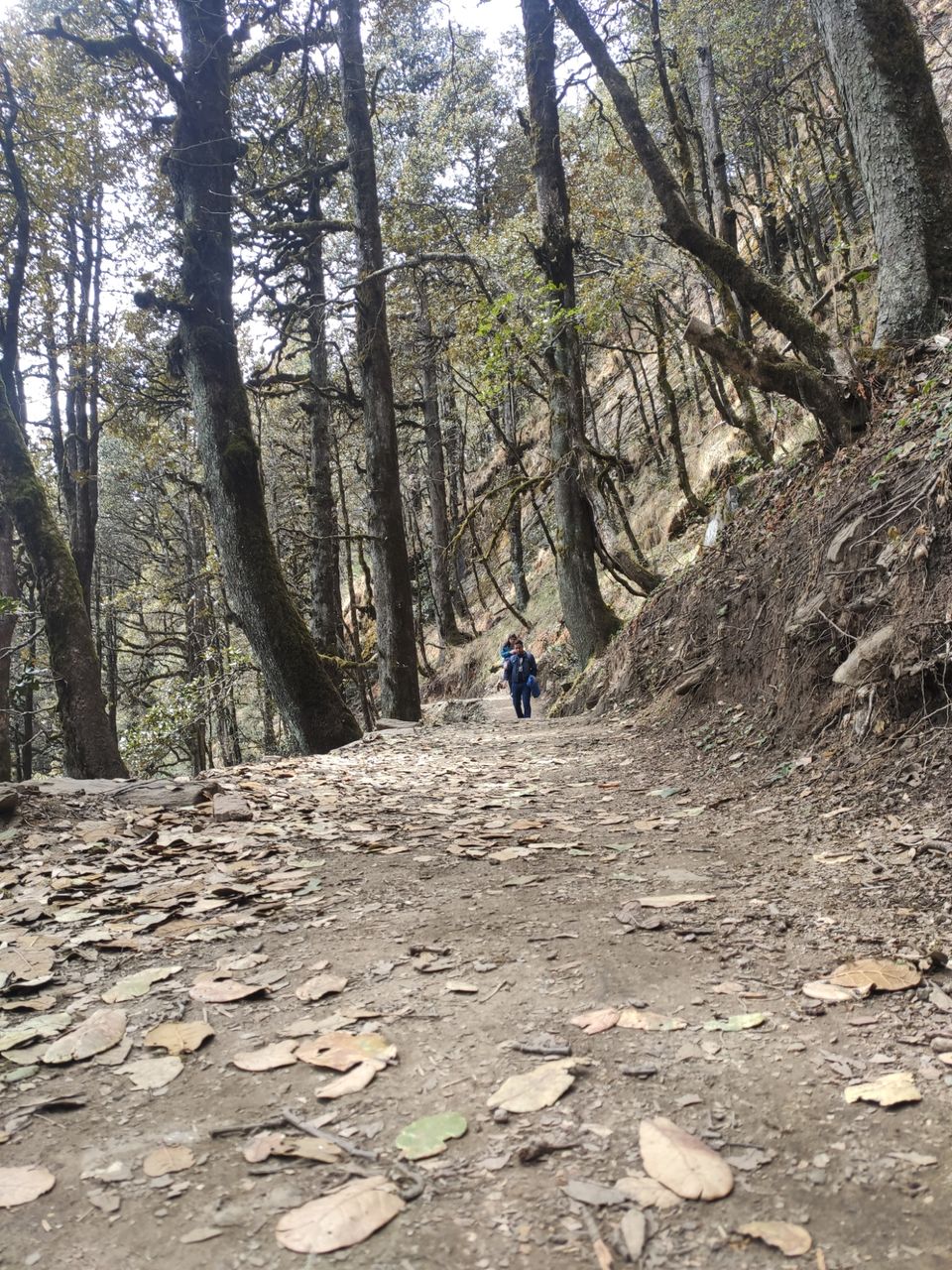 Photo of Jibhi - untouched paradise for Hiking by Shravan Yadav