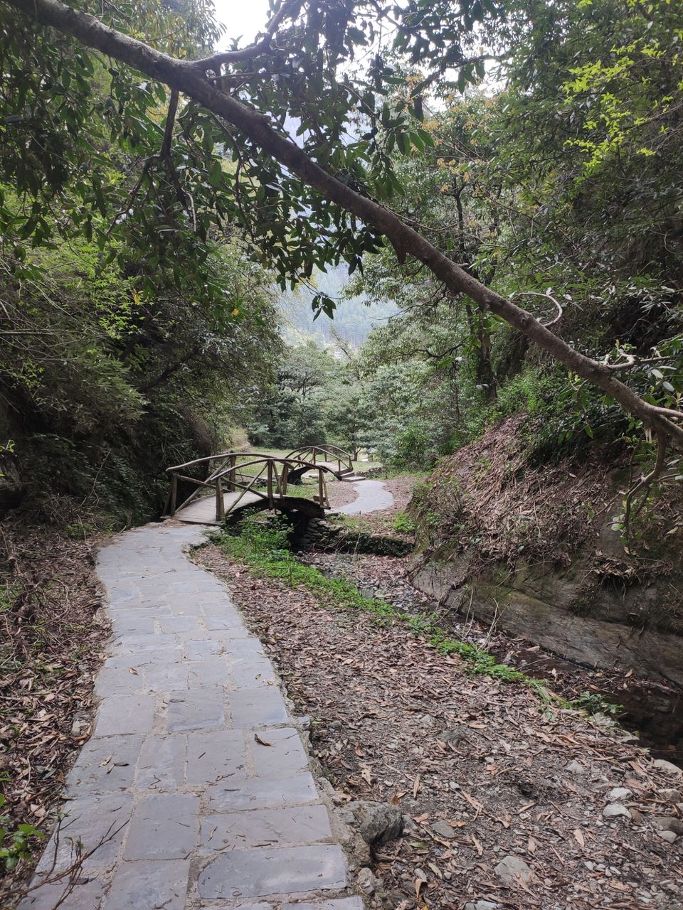 Photo of Jibhi Waterfall by Shravan Yadav