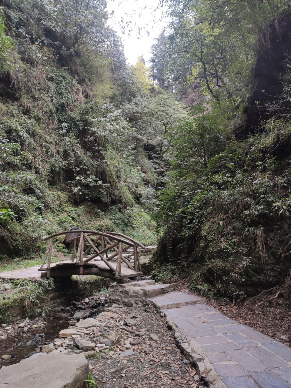 Photo of Jibhi Waterfall by Shravan Yadav