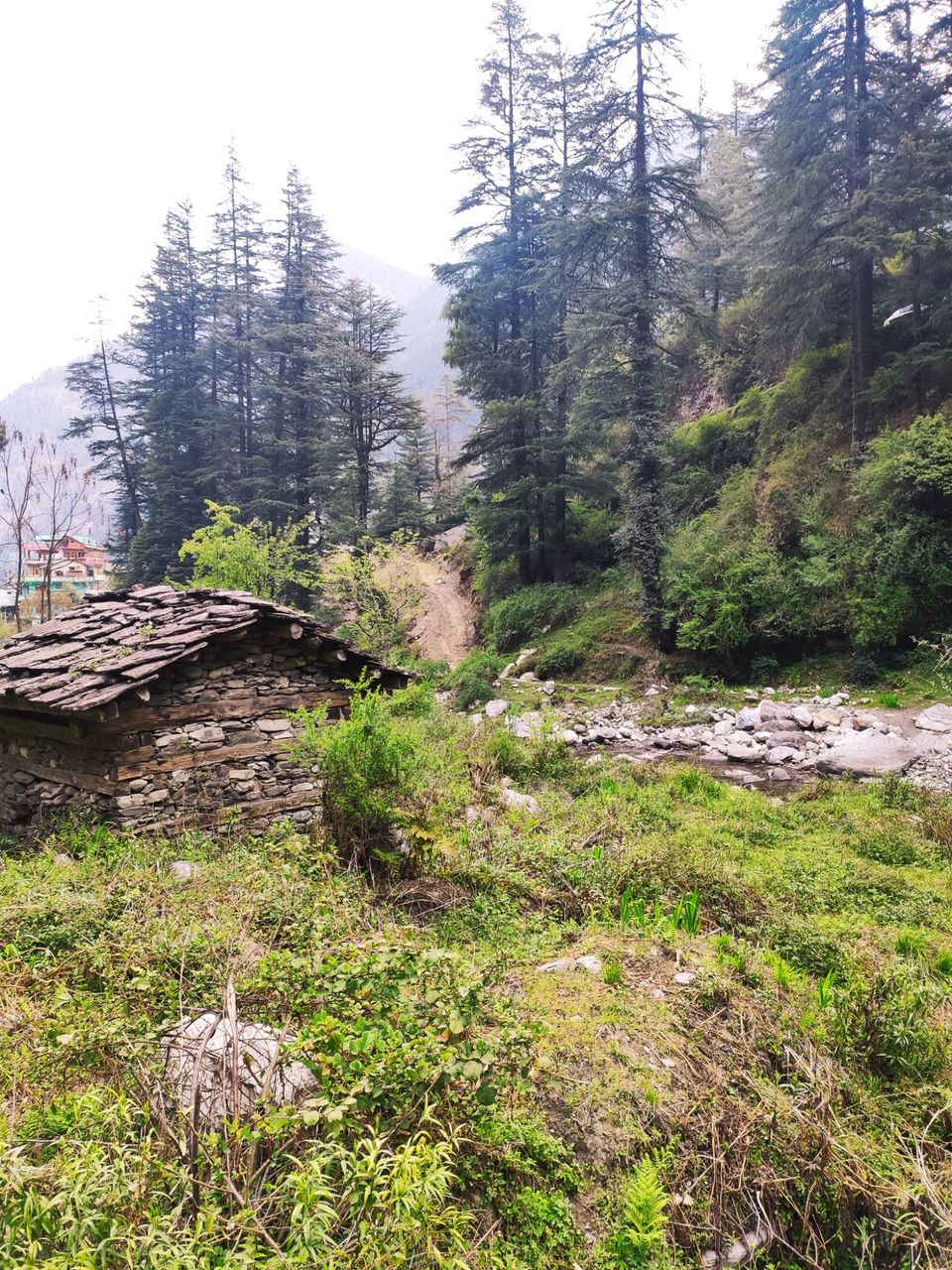 Photo of Jibhi - untouched paradise for Hiking by Shravan Yadav