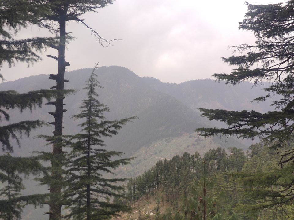 Photo of Jibhi - untouched paradise for Hiking by Shravan Yadav