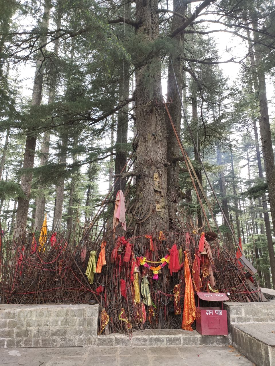 Photo of Jibhi - untouched paradise for Hiking by Shravan Yadav