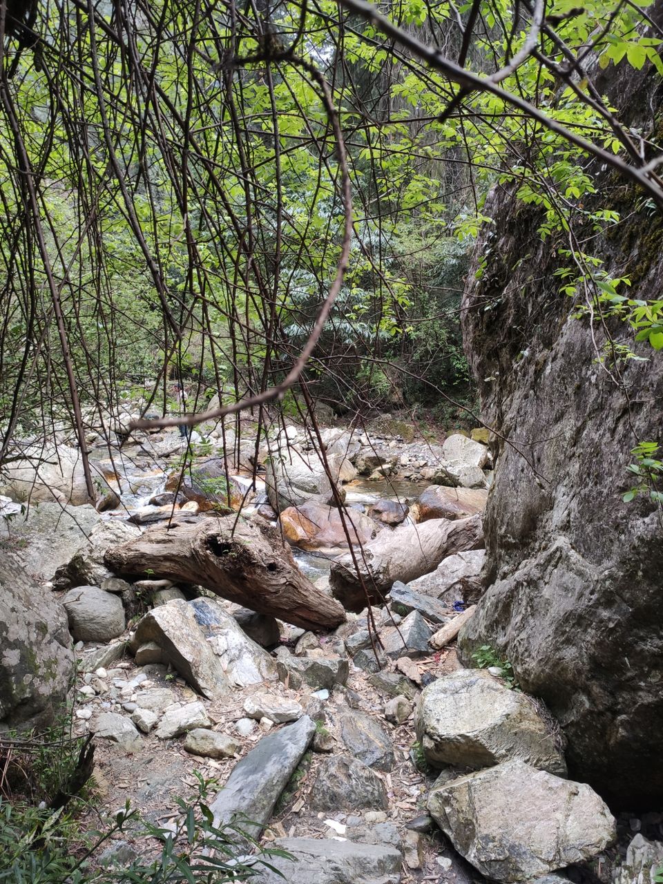 Photo of Double Trouble Falls by Shravan Yadav