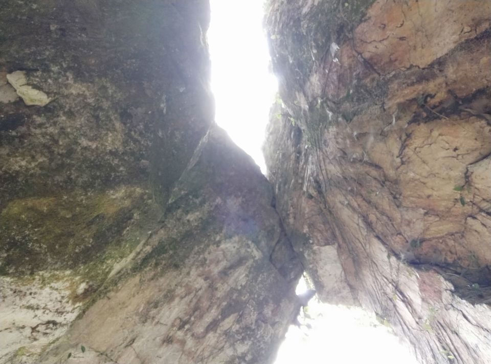 Photo of Double Trouble Falls by Shravan Yadav