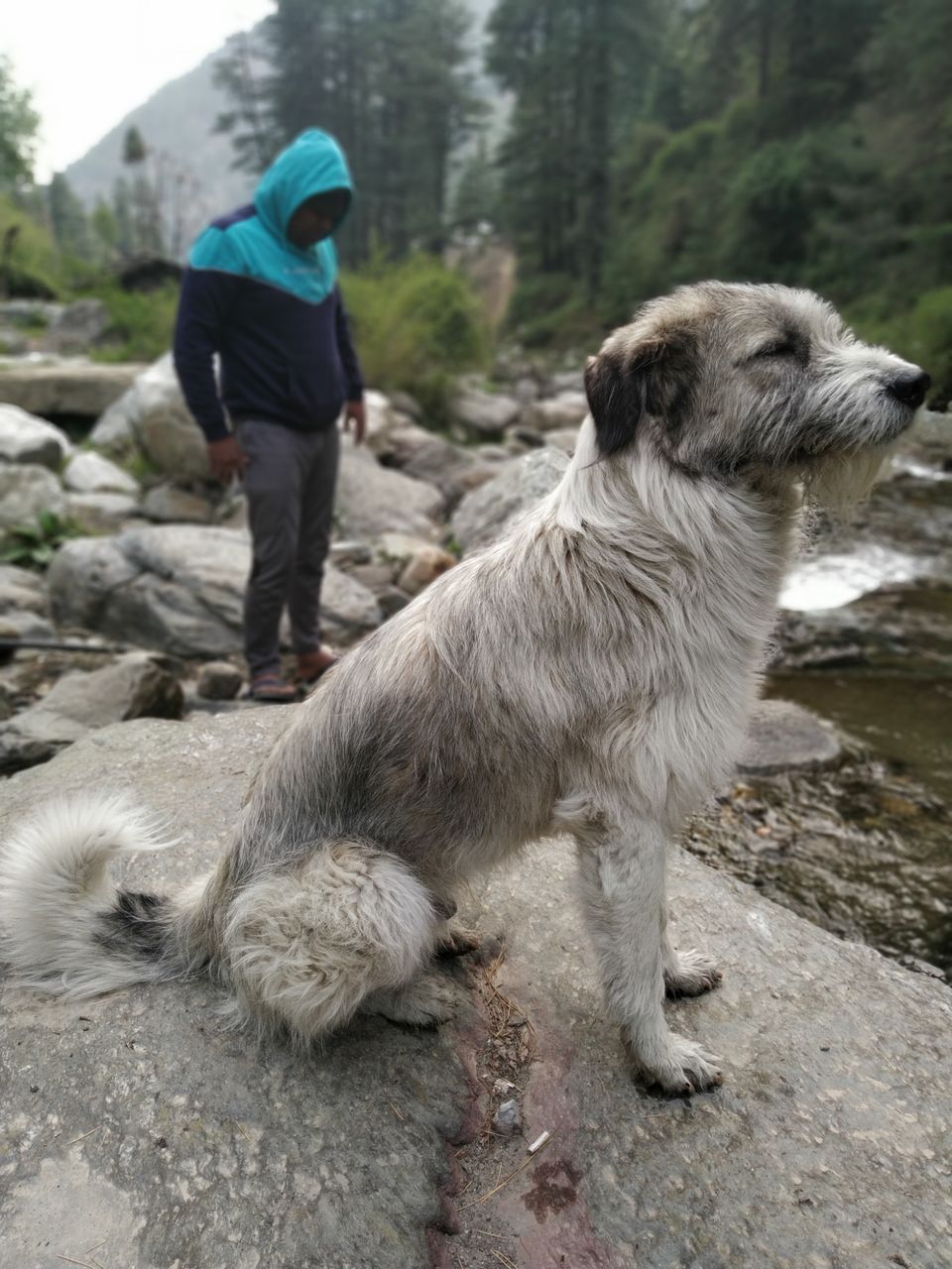 Photo of Jibhi by Shravan Yadav
