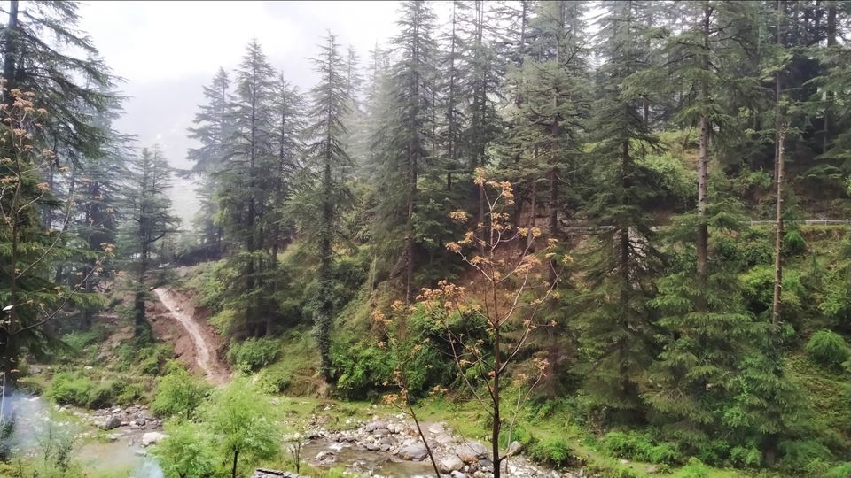 Photo of Jibhi - untouched paradise for Hiking by Shravan Yadav