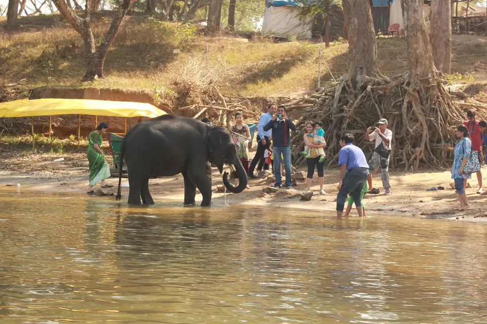 Photo of Dubare Elephant Camp, Madikeri, Karnataka, India by Sasank Raavi