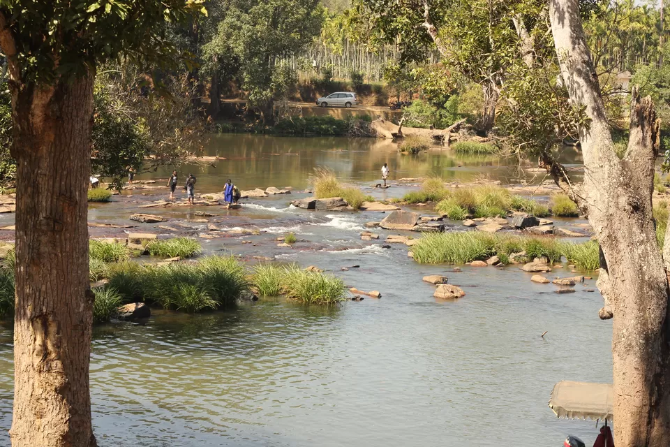Photo of Dubare Elephant Camp, Madikeri, Karnataka, India by Sasank Raavi
