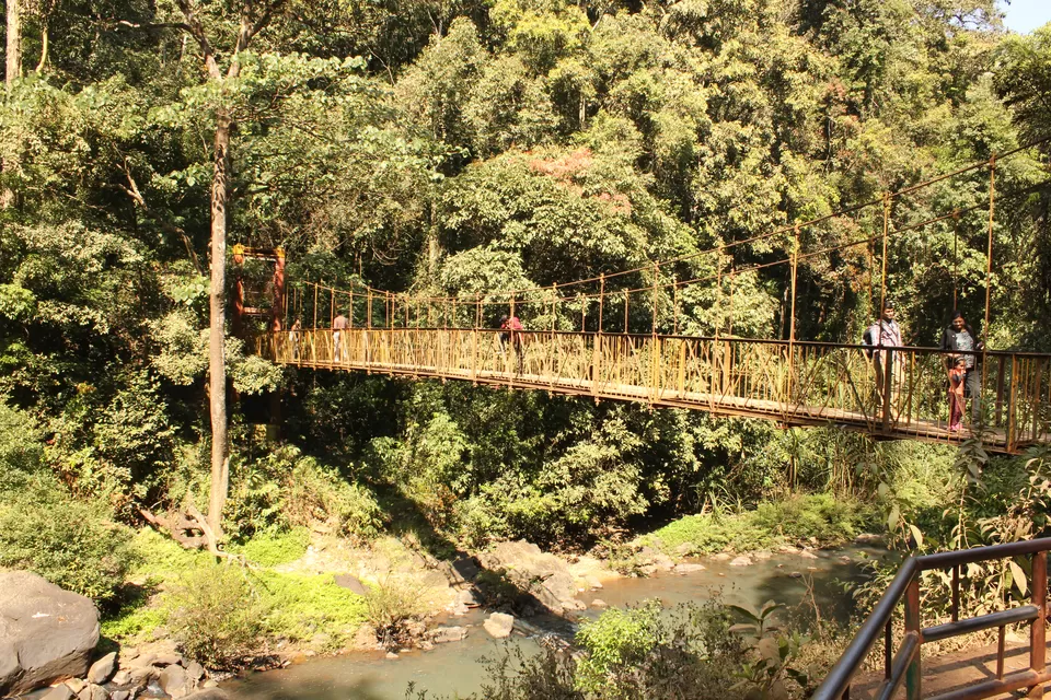 Photo of Abbey Falls, Hebbettageri, Karnataka, India by Sasank Raavi