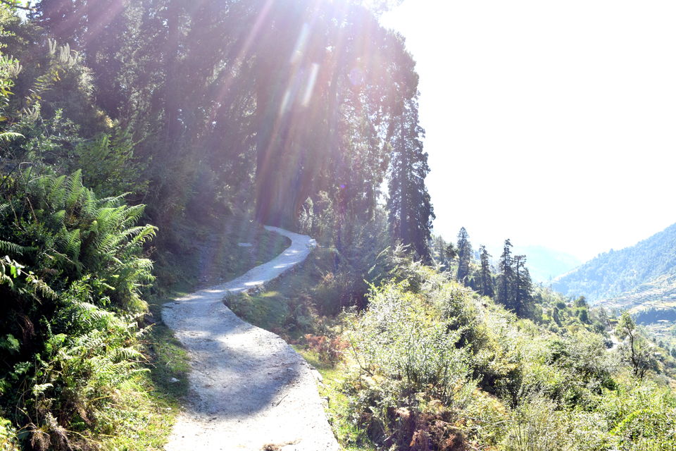 Photo of Wan, Uttarakhand, India by Yeesha Prakash
