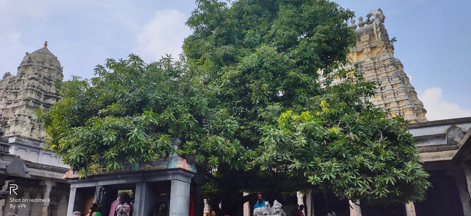 Photo of Kanchipuram, Tamil Nadu, India by Pavan Kumar