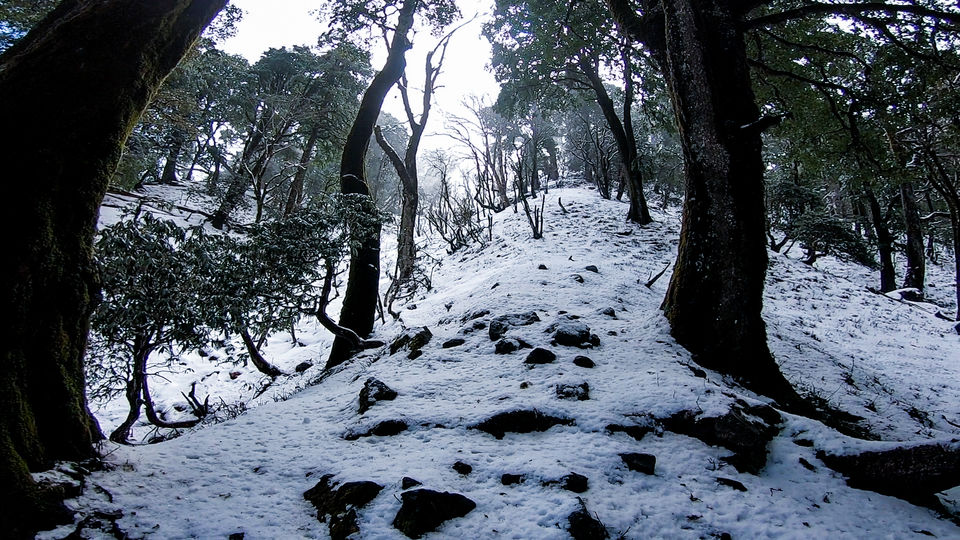 Photo of Nag Tibba Trek - A Scenic Journey by Hritik Wadhwa