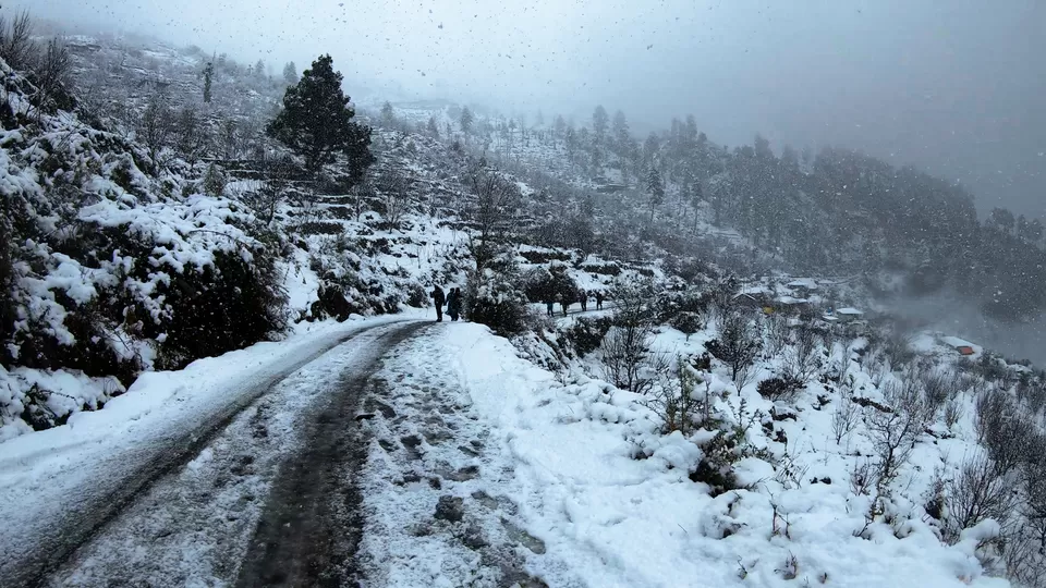 Photo of Sankri, Uttarakhand, India by Hritik Wadhwa
