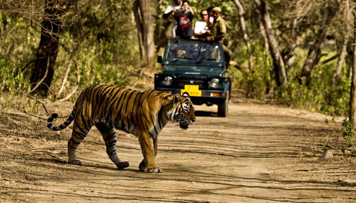 Photo of Uttarkhand Darshan by Jitendra Kumar