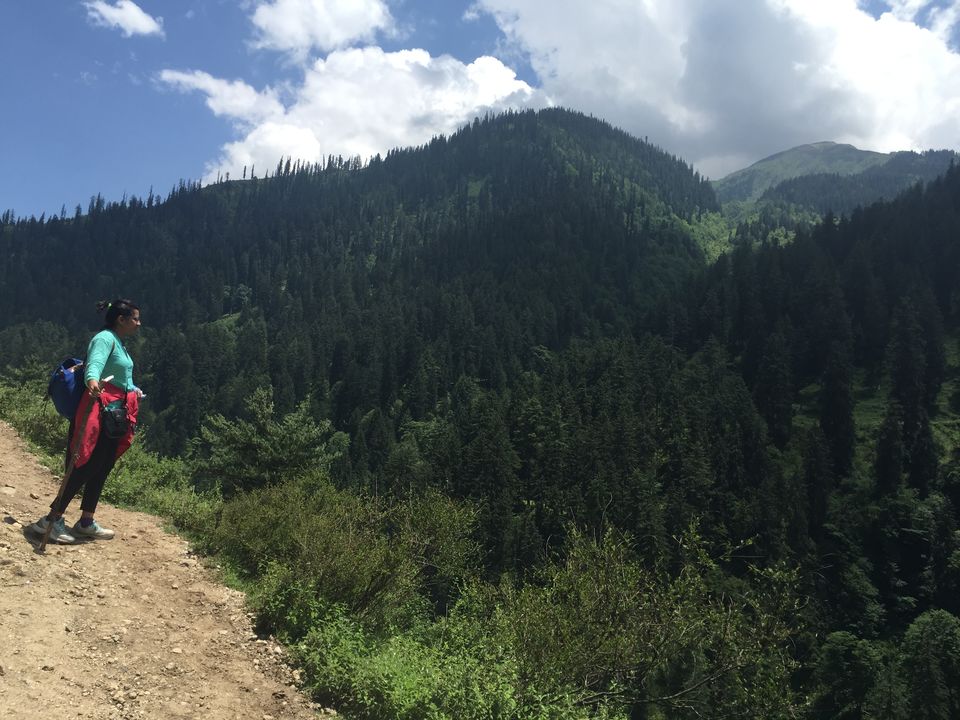 Photo of The Dope & Rainbow capital of India: Kasol 2/51 by Aayushi