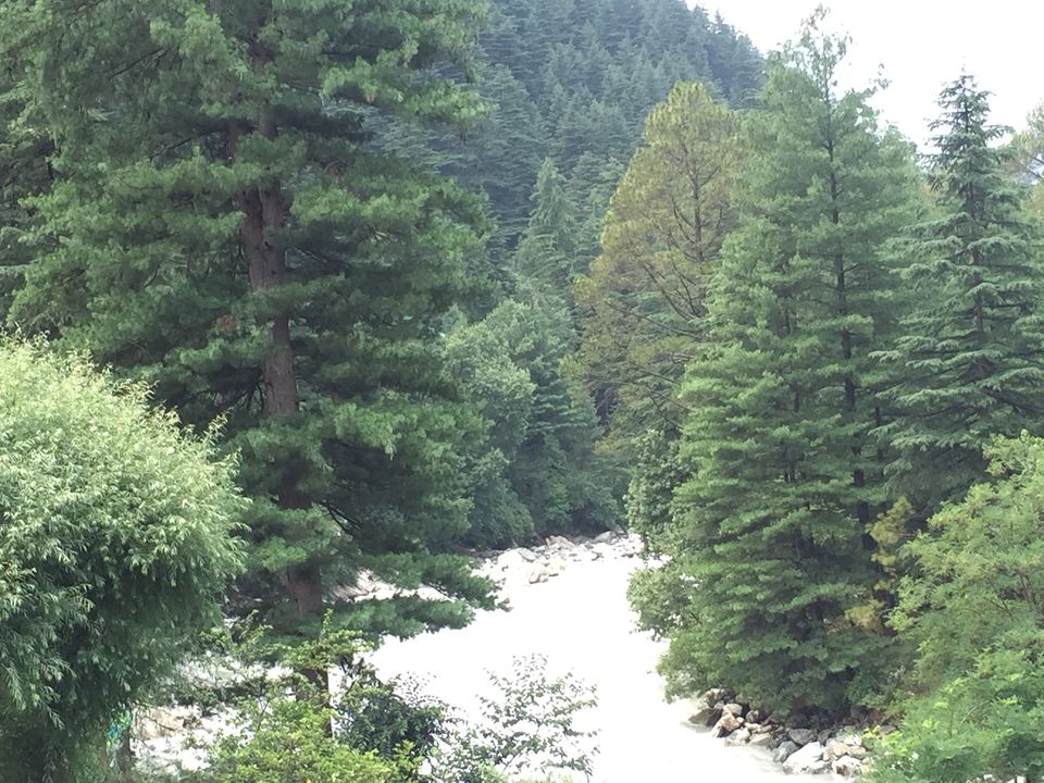 Photo of The Dope & Rainbow capital of India: Kasol 6/51 by Aayushi