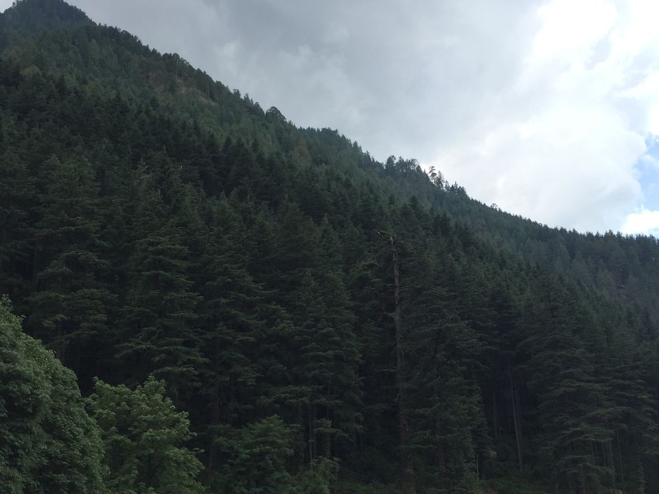 Photo of The Dope & Rainbow capital of India: Kasol 7/51 by Aayushi