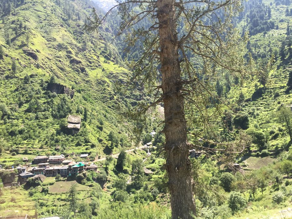 Photo of The Dope & Rainbow capital of India: Kasol 13/51 by Aayushi