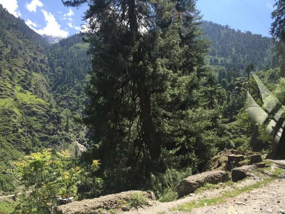 Photo of The Dope & Rainbow capital of India: Kasol 15/51 by Aayushi