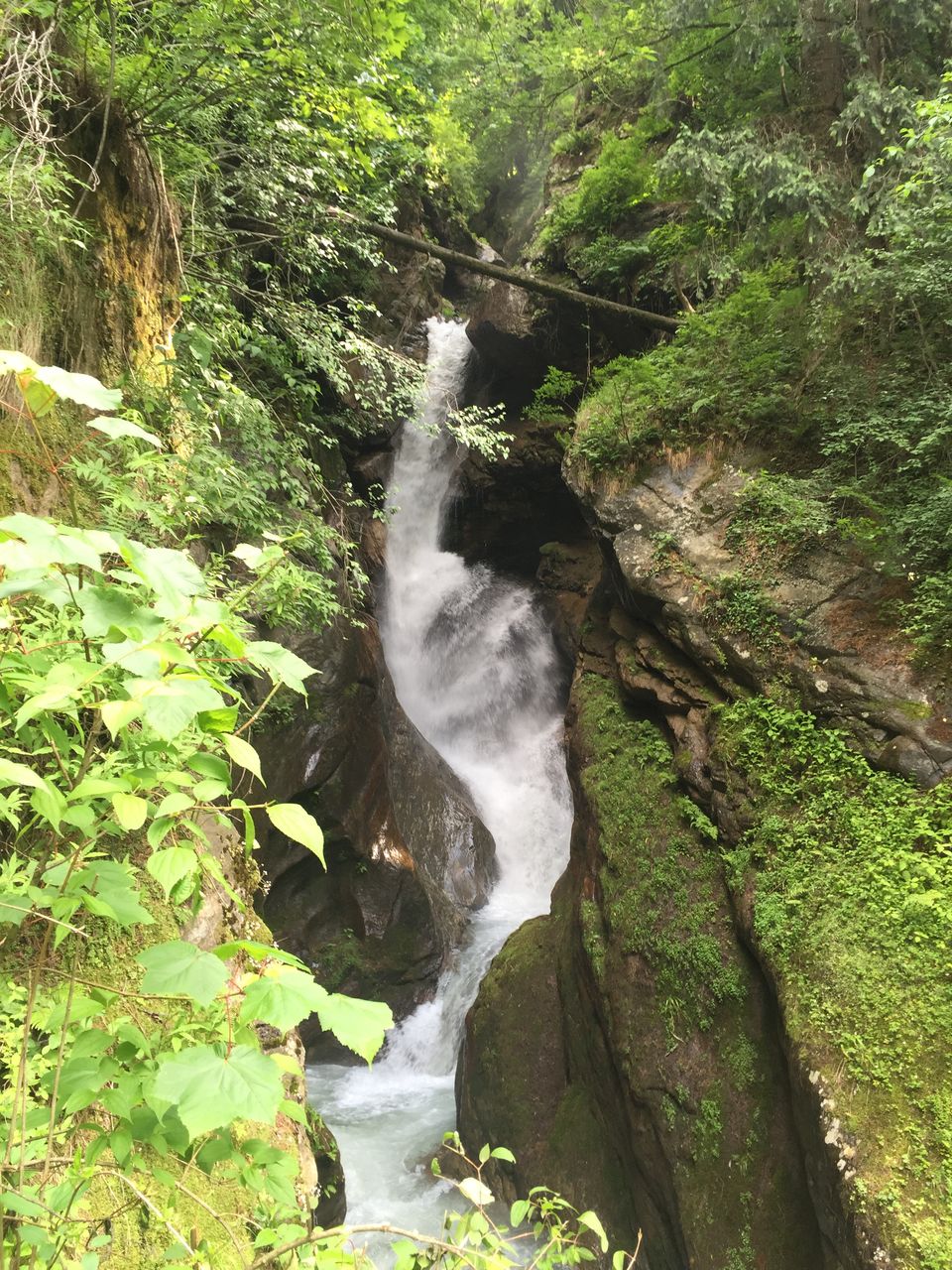 Photo of The Dope & Rainbow capital of India: Kasol 24/51 by Aayushi