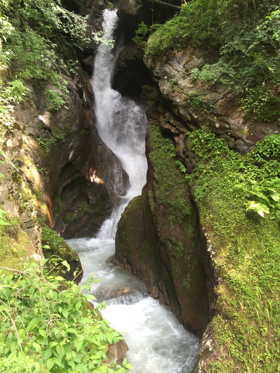 Photo of The Dope & Rainbow capital of India: Kasol 25/51 by Aayushi