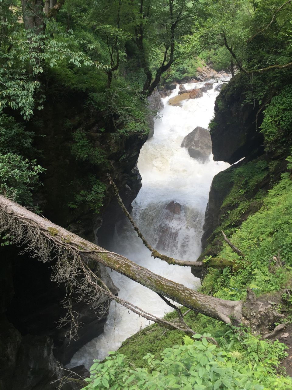 Photo of The Dope & Rainbow capital of India: Kasol 30/51 by Aayushi