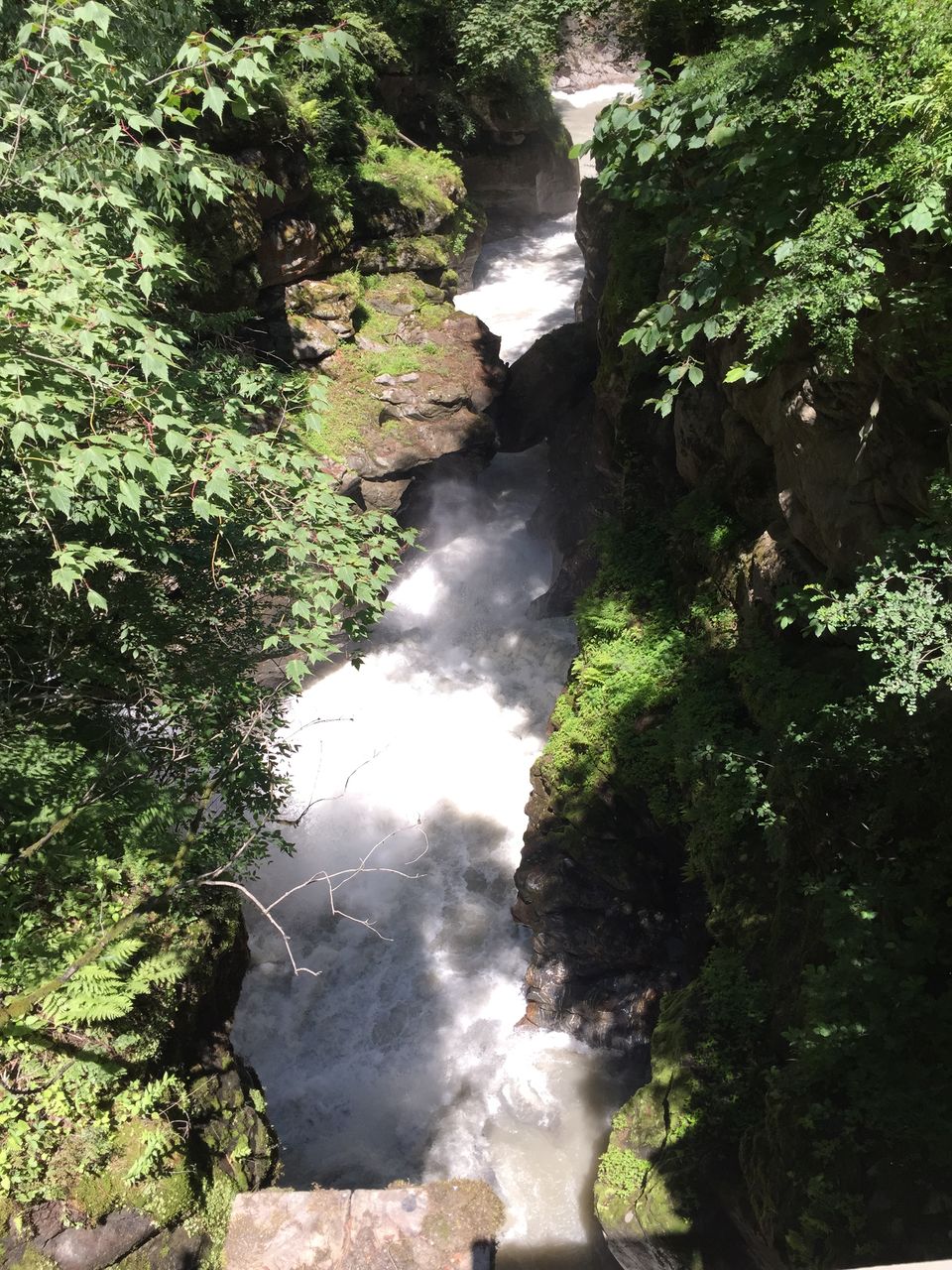 Photo of The Dope & Rainbow capital of India: Kasol 38/51 by Aayushi