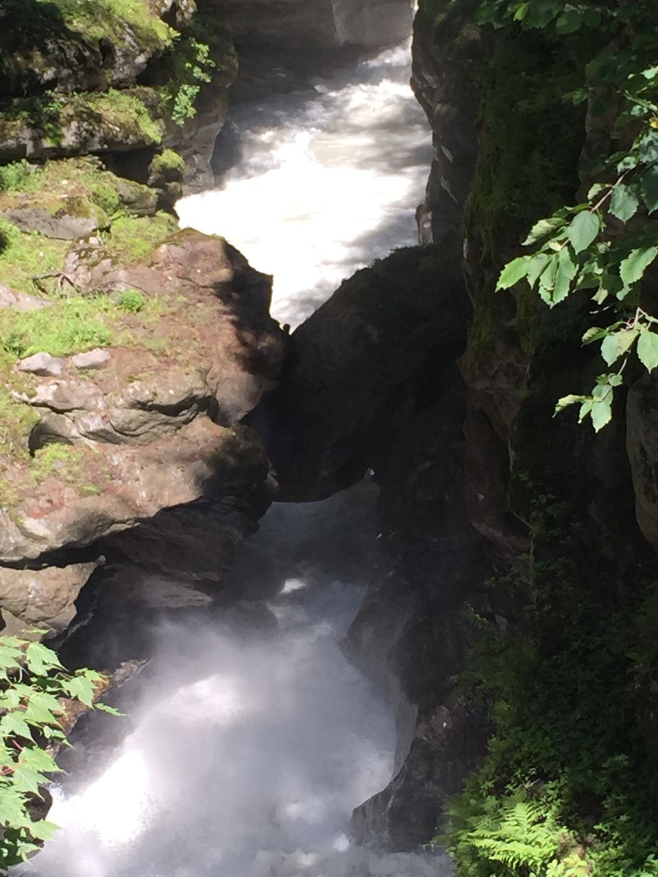 Photo of The Dope & Rainbow capital of India: Kasol 39/51 by Aayushi