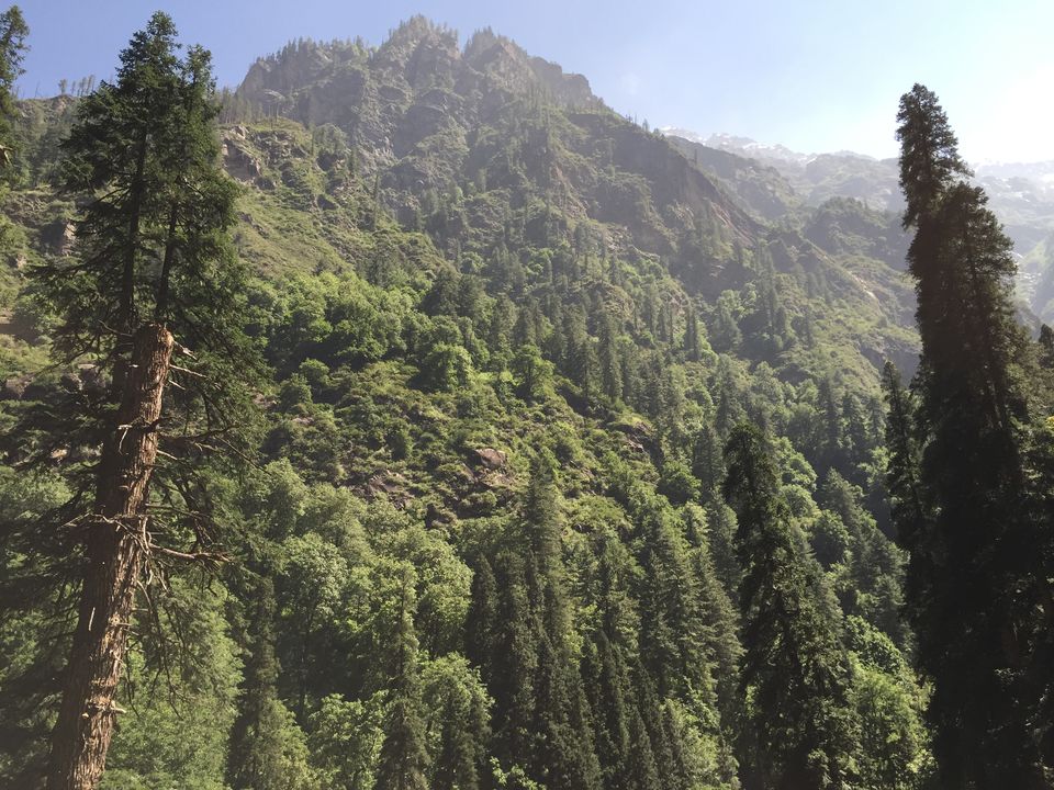 Photo of The Dope & Rainbow capital of India: Kasol 47/51 by Aayushi