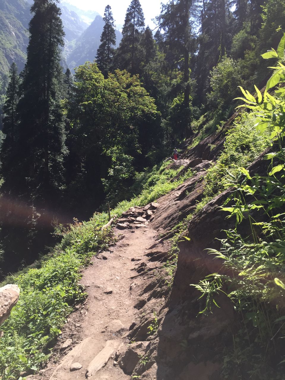Photo of The Dope & Rainbow capital of India: Kasol 48/51 by Aayushi