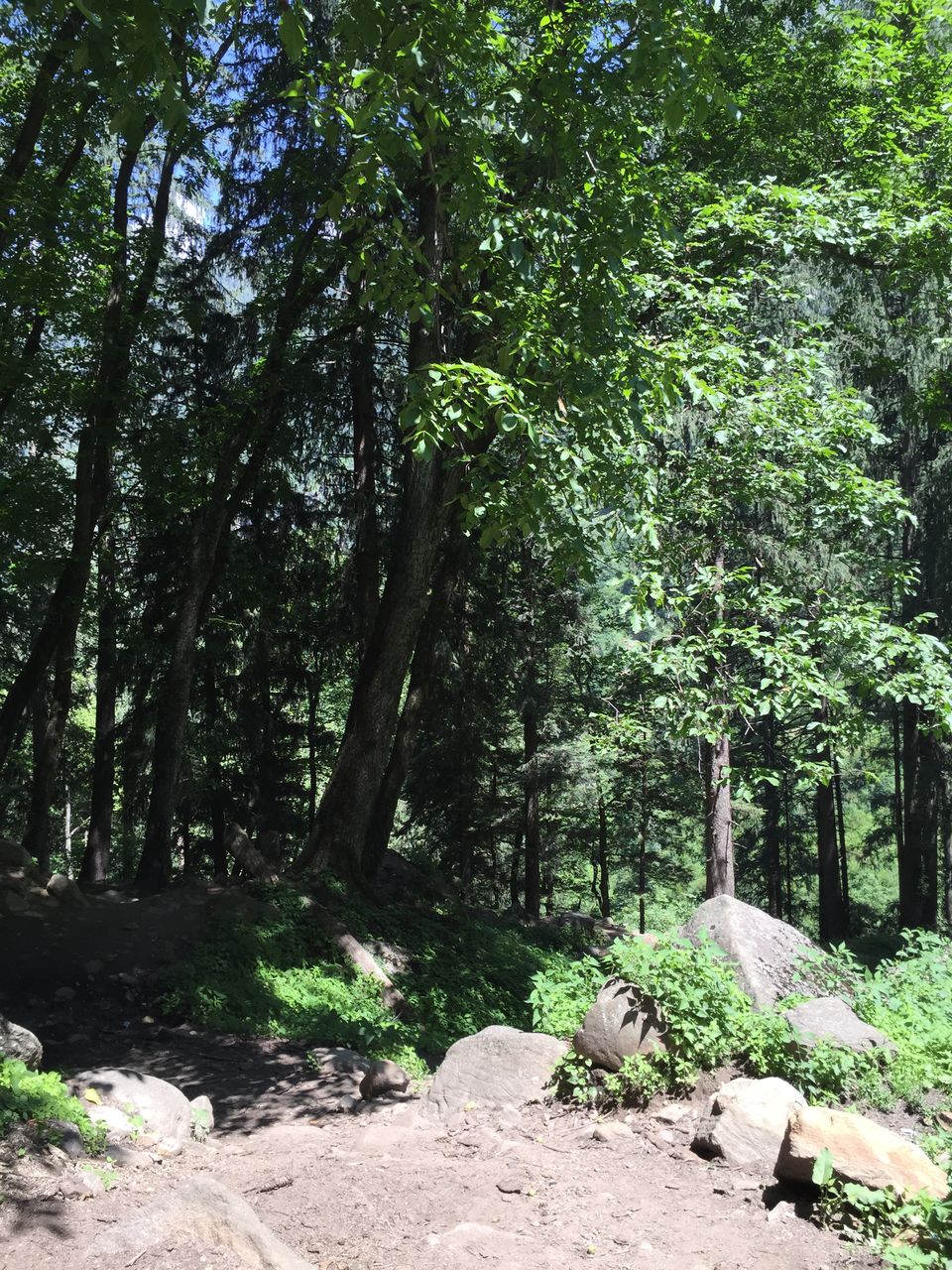 Photo of The Dope & Rainbow capital of India: Kasol 50/51 by Aayushi
