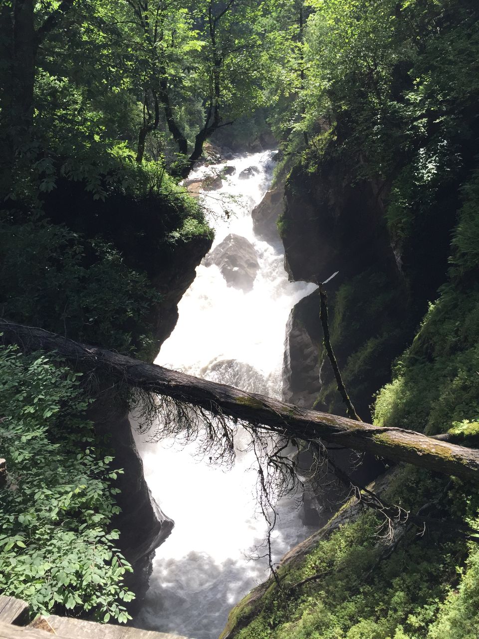 Photo of The Dope & Rainbow capital of India: Kasol 51/51 by Aayushi
