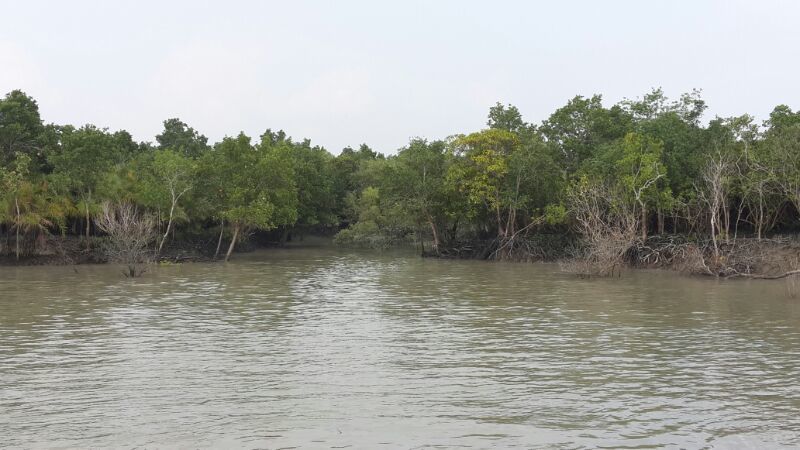 Photo of Sunderbans National Park, Gosaba, West Bengal, India by Tejasvini Viraj