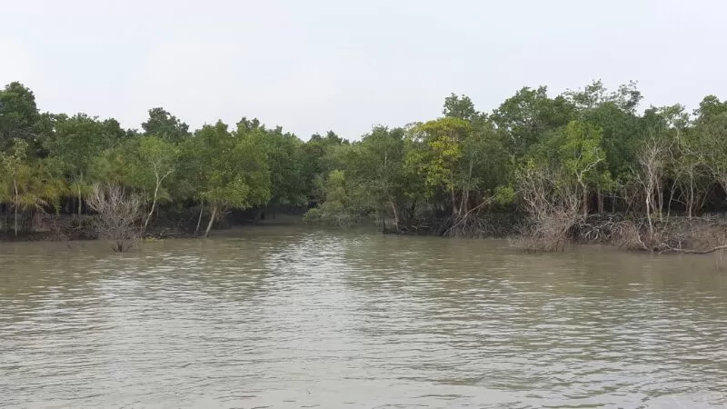 Photo of Sunderbans National Park, Gosaba, West Bengal, India by Tejasvini Viraj