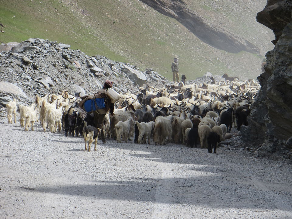 Photo of Manali to Leh - The Journey of a lifetime! 8/36 by Sanjay Nadig