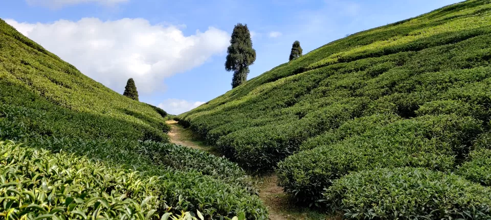 Photo of Trip to Valley-Hill-Mountain by Monisha Ghosh