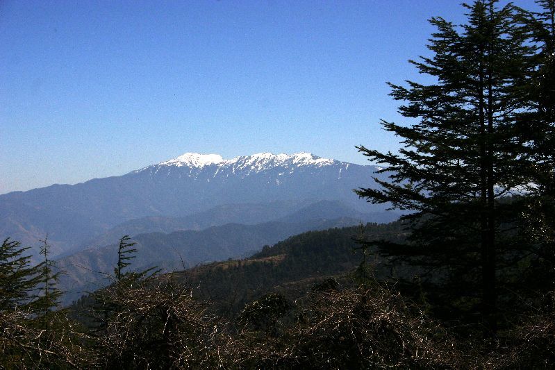 Photo of Churdhar, Himachal Pradesh, India by Karandeep Mehra