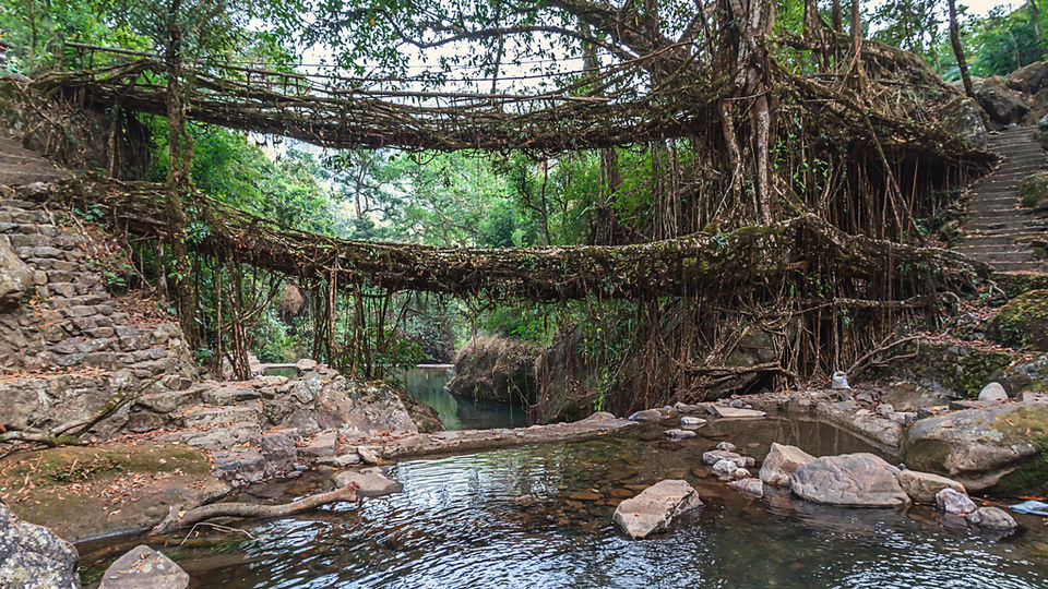 Photo of Nongriat, Meghalaya, India by Karandeep Mehra