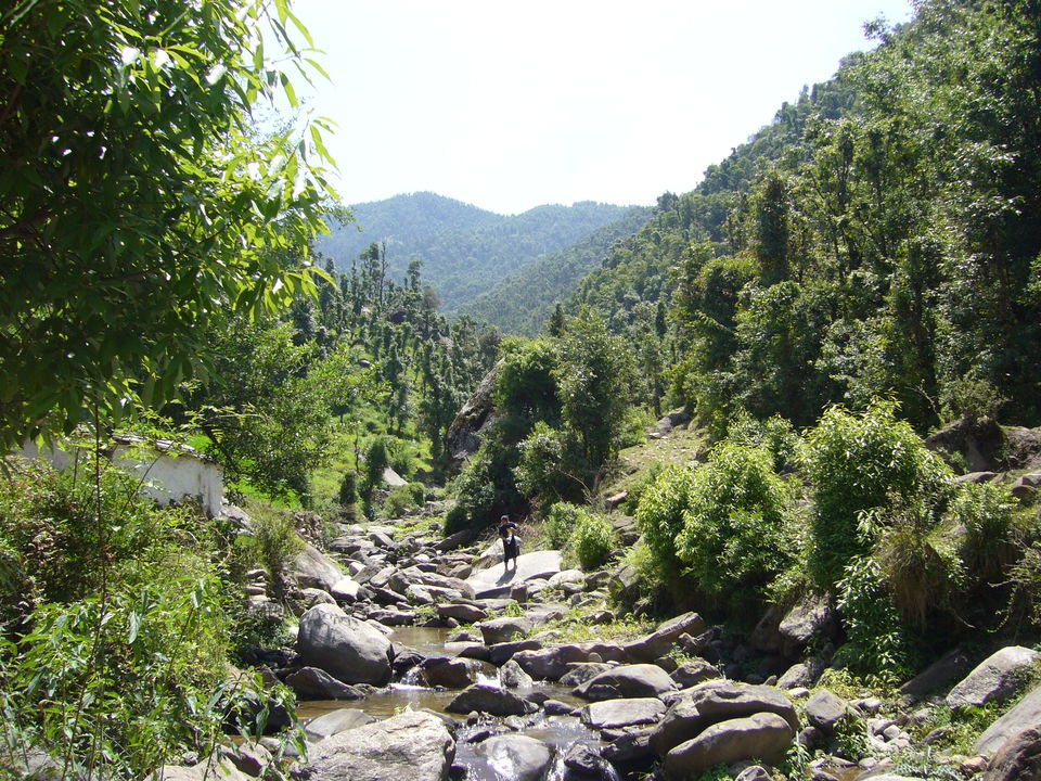 Photo of Streams! (Nohradhar) by Karandeep Mehra