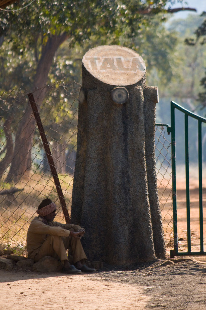 Photo of Tala, Madhya Pradesh, India by Karandeep Mehra