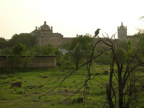 Photo of Not So Little Rann of Kachchh 11/15 by Karandeep Mehra
